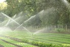 Bengwordenlandscaping-water-management-and-drainage-17.jpg; ?>