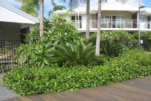 Landscaping Residential Landscaping